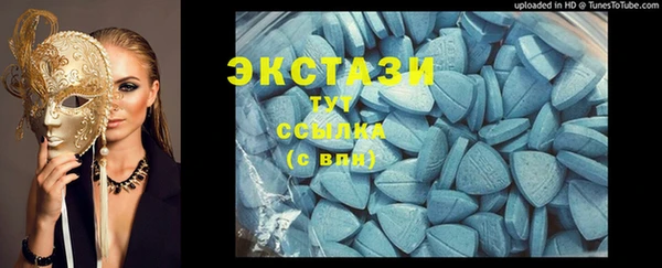 ECSTASY Богородицк